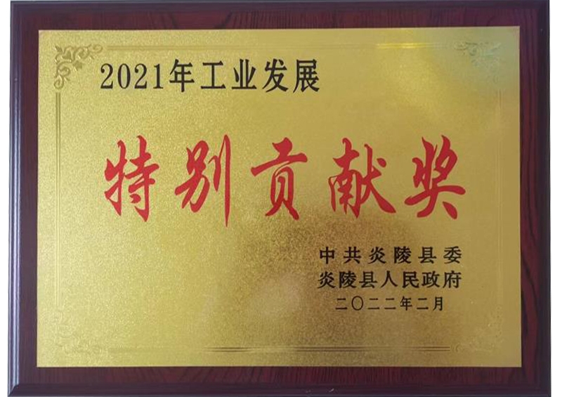 特別貢獻(xiàn)獎(jiǎng)